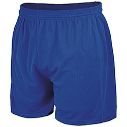 Short uomo Sport Dry Skin Royal