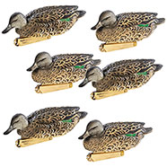 Set 6 Stampi Alzavola Femmina Pro-Grade Greenhead Gear 