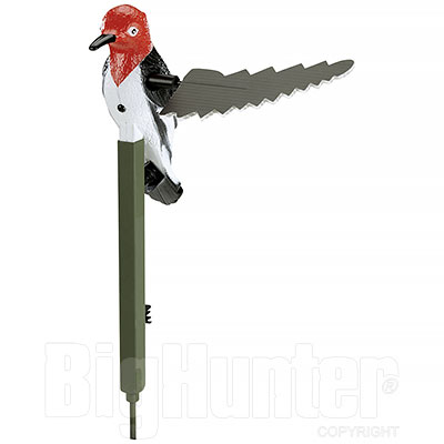 MOjo Woodpecker Predatori volpe