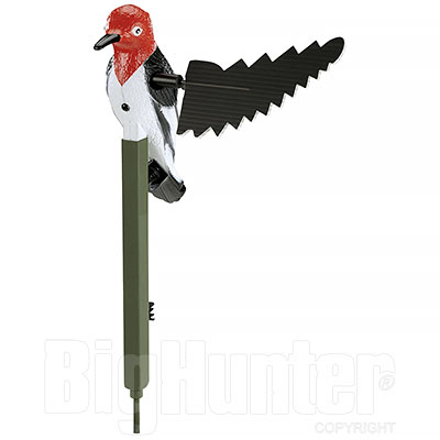 MOjo Woodpecker Predatori volpe