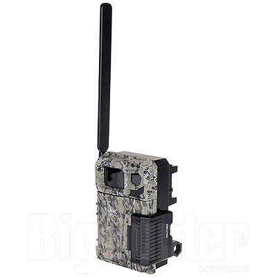 Fototrappola Spypoint Link-Micro Cellular Trail Camera