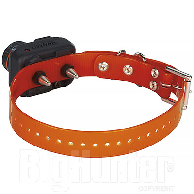 Collare Dogtra 2502T&B Educativo Addestramento e Beeper  