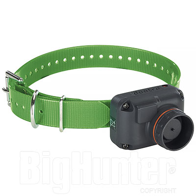 Collare Dogtra 2502T&B Educativo Addestramento e Beeper  