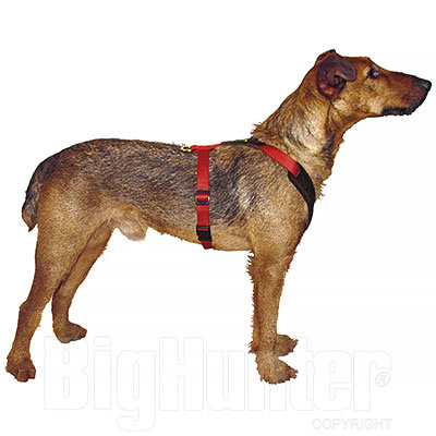 Pettorina per cani Niggeloh Tracking Red/Black 33