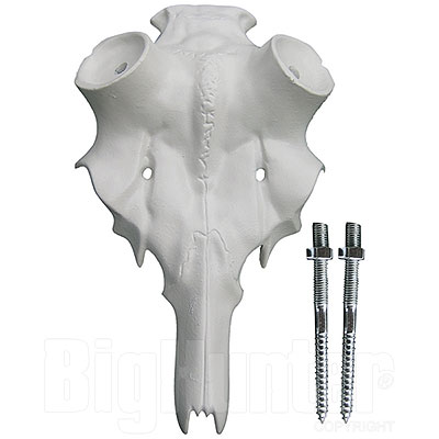 Cranio Cervo per Rosa diametro mm 35