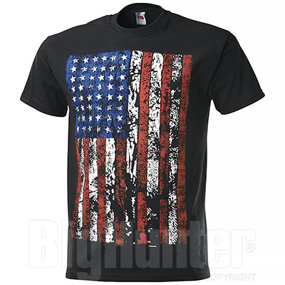 T-Shirt Fruit of the Loom USA Flag