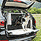 Trasportino New Atlas Car 100 Ferplast Pointer-Kurzhaar 