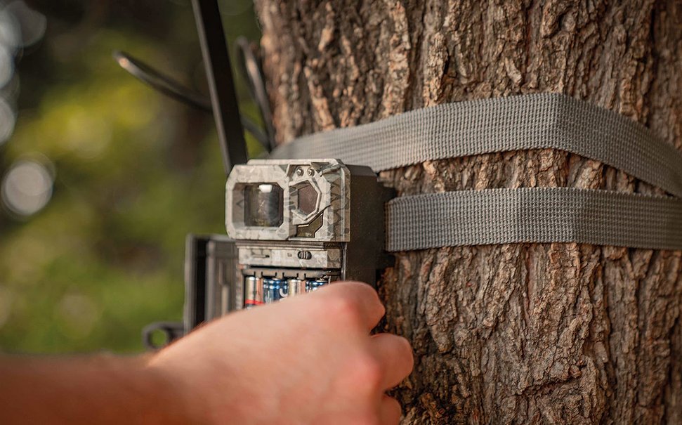 Fototrappola Spypoint Link-Micro-LTE Cellular Trail Camera