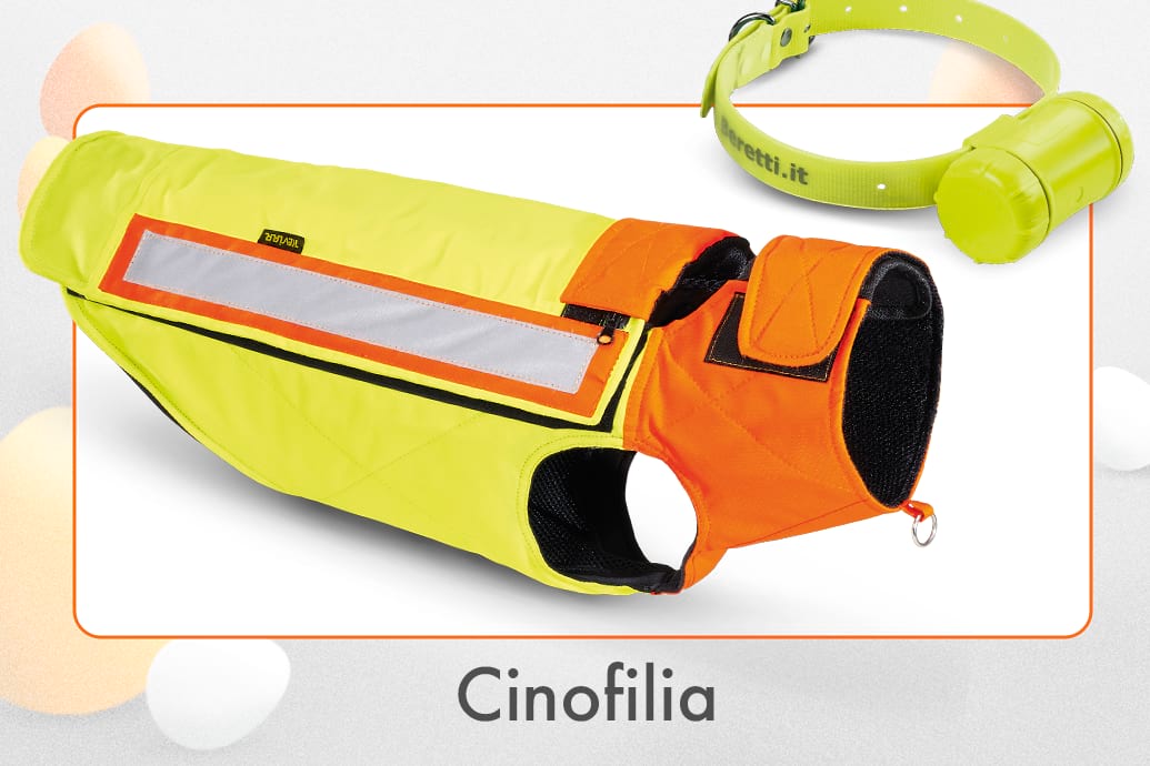 cinofilia
