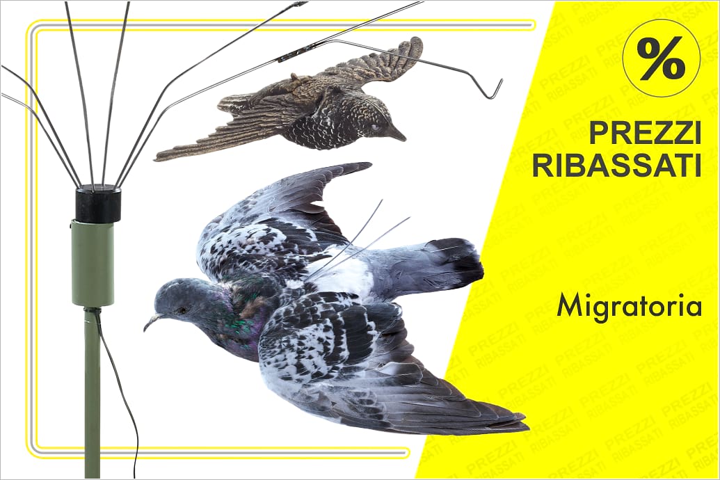 Articoli per la caccia a Prezzi ribassati