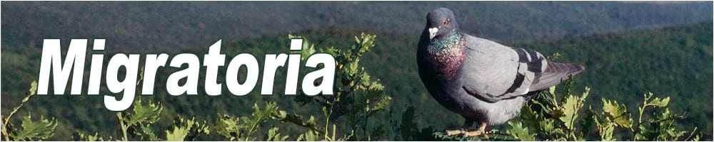 caccia migratoria colombaccio e acquatici 